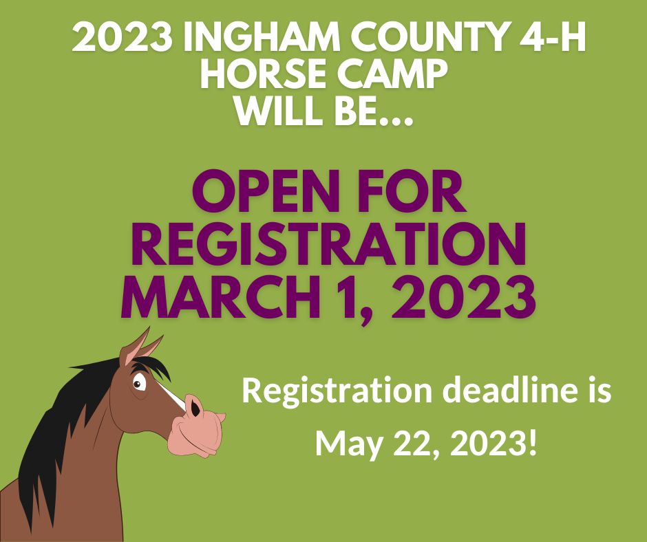 Horse Camp 2023